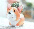 004-nycf-corgi-g Sun-e Cute Animal Shaped 708478963420