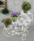 01bbe Hlc Classic Butterflies Plant