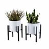 049500120764 Surfamy Pack Metal Plant Stand Indoor Tall Holder