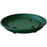 0504925003-6 Almi Planter Caddy Saucer With Wheels Green 611830909953