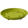 0504925005-8 Almi Planter Caddy Saucer With Wheels Lime Green 611830910102