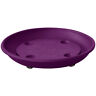 0504925035-8 Almi Planter Caddy Saucer With Wheels Purple 611830910126