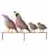 30967641053394 05339 Quail Family Yard Regal Art Gift 21.5 X1 X10
