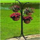 0560 Plant Outdoor Hanging Stand Baskets Plants Flowers 4 Arm Tree Hook Black Finish 791435510560