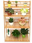0603983724088 Hanyi 4 Tier Plant 0603983724088 Hanyi 4 Tier Plant