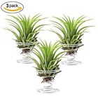 0609792225600 Aieve Air Plant Holder
