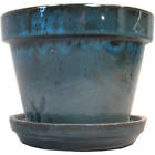 11951 Border Concepts Tropical Blue 767061119514