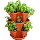 1303-hg Mr Stacky Self Watering 722301863381