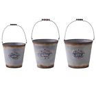 13318d Interiors Vintage Metal Buckets Set 840429148408