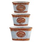 13758b Interiors Rusty Metal Oval Planters Set 840429176692