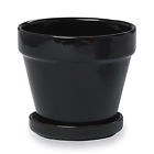 18306 Border Concepts Black Plant 767061183065