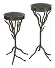 3187472 2-pc Top Glass Id Set Stand Plant