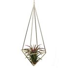 20160115018 Ncyp Tillandsia Air Plants Holder Freestanding Hanging Matte Golden Quadrilat