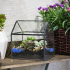 20160830004fba Ncyp Copper Black House Shape Moss Fern Plant Flower Pot