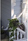 2051204 Rainreserve Build-a-barrel 100-gallon Tank 850086003248