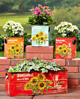 23-900008 Sunflower Planters Garden Backyard Patio