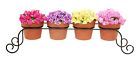 2367 Laredo Iron Flower-herb Pot 787627902367