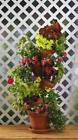 301w Flip Flop Flower Pot Stackable Plant Stand 783900129032