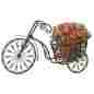30289y5 Main Street Plant Stand Wrought Iron Bicycle Garden Flower Display Ornament Free Ship 780437628533