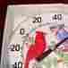 30290-nc Springfield Bird Cardinal Blue Jay 1999 Outdoor Thermometer 8 Made In Usa Nip