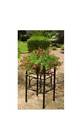 3643754 3060059 Plant Stand In A
