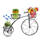 30699 Dazone Tricycle Plants Rack 0761873130699