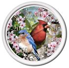 3078786 Cardinal Id Thermometer . Blue 13.25 Bird