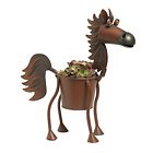 6930617 32009 Kathys Show Tack Fireball The Horse Indoor Or 693061320097