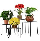 322810 Unbranded Wrought Iron Plant 0787392322810