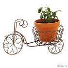 33107 Serrv Super Cute Metal Tricycle Planter