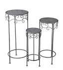 8055720 36134 Privilege 3 Piece Iron 805572361340