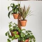 4 Pot Hanging Plant Holder