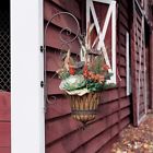 40870 40871 Southern Living At