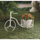 806n 440806 Summerfield Terrace Tricycle Plant White