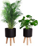 445018687684 Sinolodo Metal Planter With Wood Stand Extra Large