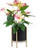 445019735759 Cnningyi Pot Plant Stand Flower Shelf Indoor Outdoor