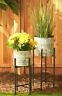 4506329 Accent Plus Set Of White Washed Bucket Plant 849179063290