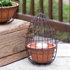 460193gr Nrs Rustic Garden Decor