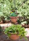 460194gr Nrs Two Tier Hanging