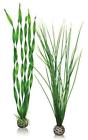 46057 Biorb Easy Plant Pack 822728002179 46057 Biorb Easy Plant Pack 822728002179
