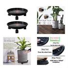 4665366976664 Plant Caddies With Wheels Coasters On Dolly Flower