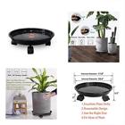4665366976725 Larel Vitor Plant Caddies With Wheels Pack Coasters