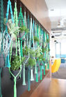 4792 Eboot Plant Hanging Flower 689176874792
