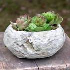 490011 Ctw Rugged Small Stone 490011 Ctw Rugged Small Stone