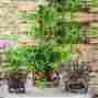 490457 Gifted Living Set Of Three Flower Planters Stands Outdoor 746851932403