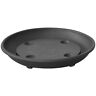 504925001 Almi Rolling Plant Caddy Trolley Planter Saucer With Wheels