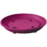 504925045 Almi Planter Caddy Saucer With Wheels Fuchsia 7290110182465