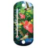5212 Taylor Hummingbird Suction Cup Thermometer Inch 077784034446