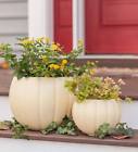 54572wh Plow Hearth Weatherproof Faux Pumpkin Planters Set Of 191386020192