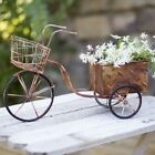 550081 Ctw Delivery Trike Outdoor Indoor Home Decor Garden Planter